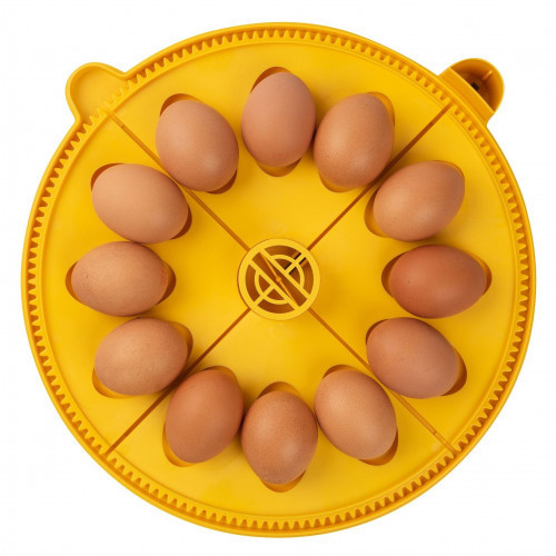 Brinsea Maxi Advance孵化器大鸡蛋插入