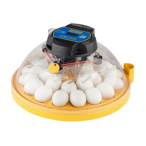 Brinsea Maxi 24ex全自动24蛋孵化器